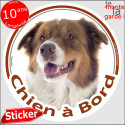 Berger Australien Tricolore Rouge, disque voiture "Chien à Bord" 2 tailles D
