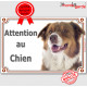 Berger Australien tricolore rouge, plaque portail "Attention au Chien" pancarte panneau photo aussie