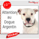 Dogue Argentin, disque autocollant "Attention au Chien" Sticker photo adhésif Dogo