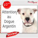 Dogue Argentin, autocollant "Attention au Chien" 16 cm