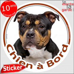 Bully, sticker voiture "Chien à Bord" 14 cm