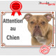 Old English Bulldog, plaque portail "Attention au Chien" pancarte panneau anglais photo race