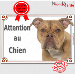 Old English Bulldog, plaque portail "Attention au Chien" pancarte panneau anglais photo race