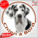 Dogue Allemand Arlequin, sticker autocollant rond "Chien à Bord" Disque adhésif photo Danois blanc taches noires