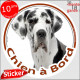 Dogue Allemand Arlequin, sticker autocollant rond "Chien à Bord" Disque adhésif photo Danois bleu race