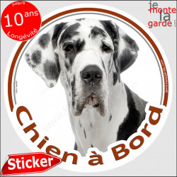 Dogue Allemand Arlequin, sticker autocollant rond "Chien à Bord" Disque adhésif photo Danois blanc taches noires