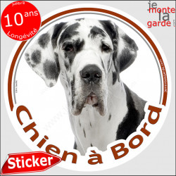 Dogue Allemand Arlequin, sticker autocollant rond "Chien à Bord" Disque adhésif photo Danois bleu race