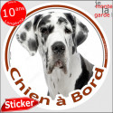 Dogue Allemand arlequin, sticker voiture rond "Chien à Bord" 2 tailles D