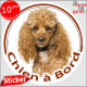 Caniche abricot, disque autocollant photo "Chien à Bord" Sticker adhésif Caniche nain rouille champagne cuivre orange