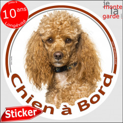 Caniche, disque autocollant "Chien à Bord" 14 cm