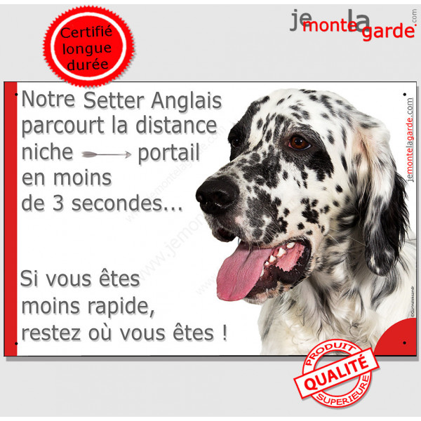 Setter Anglais noir et blanc, plaque humour "parcourt distance Niche - Portail moins 3 secondes, rapide" photo drôle