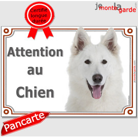 Berger Blanc Suisse, plaque portail "Attention au Chien" BBS photo, résiste pluie soleil gel, idée cadeau