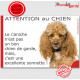 Plaque portail humour "Attention au Chien, notre Caniche abricot est une sonnette" Pancarte drôle photo Caniche nain orange roui