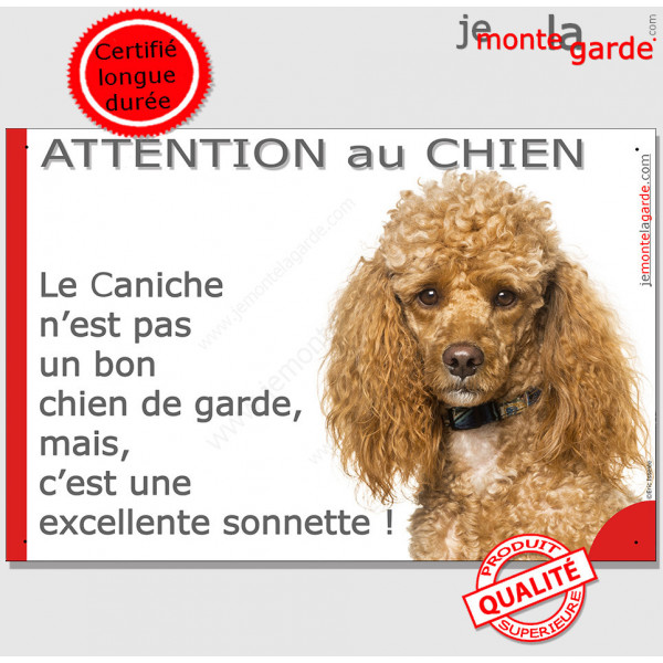 Plaque portail humour "Attention au Chien, notre Caniche abricot est une sonnette" Pancarte drôle photo Caniche nain orange roui