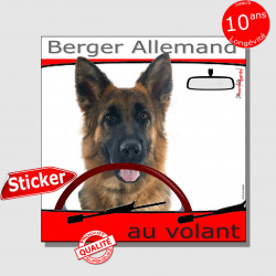 "Berger Allemand au volant" panneau autocollant humoristique voiture photo sticker BA poils mi-longs noir et feu chien à bord