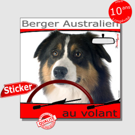 "Berger Australien au volant" panneau autocollant humoristique voiture photo sticker Aussie tricolore noir chien à bord, résiste