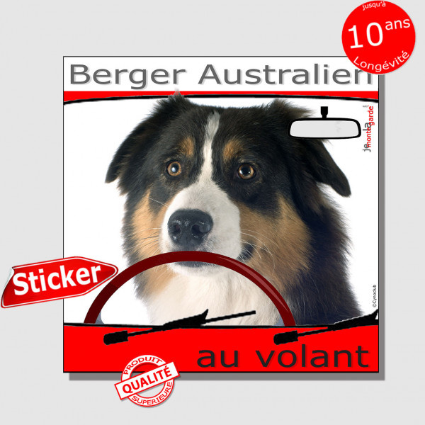 "Berger Australien au volant" panneau autocollant humoristique voiture photo sticker Aussie tricolore noir chien à bord