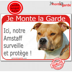 American Staff fauve, plaque portail rouge "Je Monte la Garde, surveille et protège" pancarte attention au chien photo Amstaff