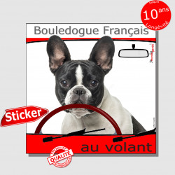 "Bouledogue Français au volant" autocollant voiture 15 cm