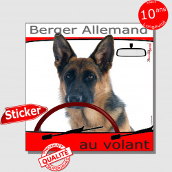 "Berger Allemand au volant" panneau autocollant humoristique voiture photo sticker BA poils courts noir et feu chien à bord