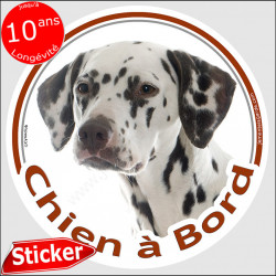 Dalmatien, sticker autocollant rond "Chien à Bord" Disque photo adhésif vitre voiture chien