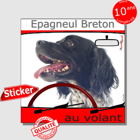 "Epagneul Breton blanc et noir au volant" panneau autocollant humoristique voiture photo chien à bord, résiste à l'extérieur