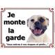 Bouledogue Américain Tête, plaque portail "Je Monte la Garde, risques périls" panneau affiche pancarte photo