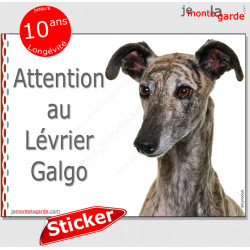 Lévrier Galgo Espagnol bringé, panneau autocollant "Attention au Chien" portail entrée, sticker adhésif photo