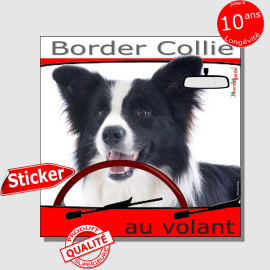 "Border Collie au volant" panneau autocollant humoristique voiture photo sticker drôle chien à bord noir et blanc à poils longs,