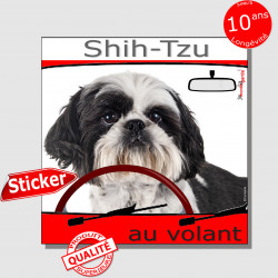 "Shih-Tzu au volant" panneau autocollant humoristique voiture photo sticker drôle chien à bord Shih-Tsu noir et blanc