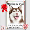 Husky Marron, plaque "Attention au Chien" 24 cm VLC
