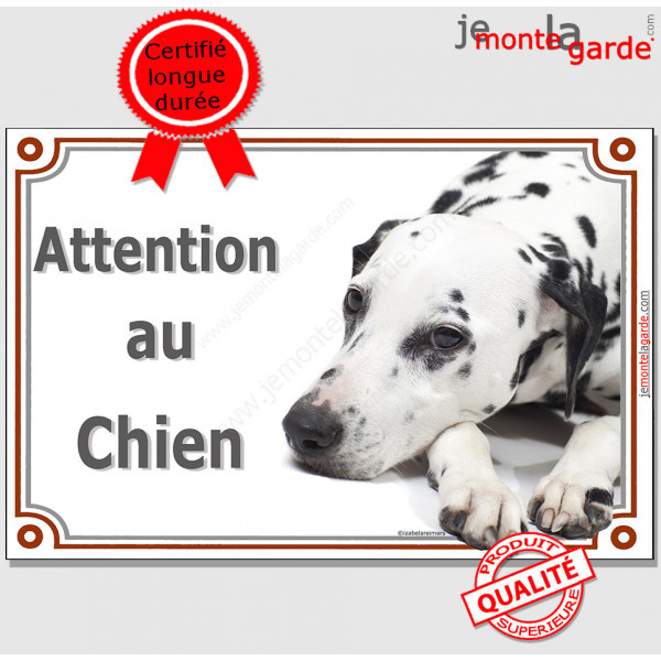 Dalmatien avec des taches noires, plaque portail "Attention au Chien" pancarte panneau photo