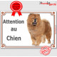 Chow-Chow fauve orange, plaque portail "Attention au Chien" pancarte panneau photo