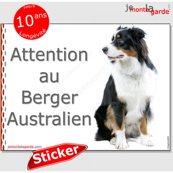 Berger Australien tricolore noir, panneau autocollant "Attention au Chien" pancarte affiche photo Aussie sticker