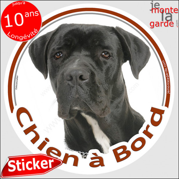 Cane Corso Noir Tête, sticker autocollant rond "Chien à Bord" Disque adhésif photo race vitre voiture