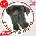 Cane Corso, sticker voiture "Chien à Bord" 2 tailles