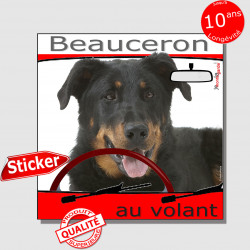 "Beauceron au volant" panneau autocollant humoristique voiture photo sticker drôle chien à bord Berger de Beauce Bas-rouge