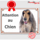 Lévrier Afghan tricolore, plaque portail "Attention au Chien" pancarte panneau photo