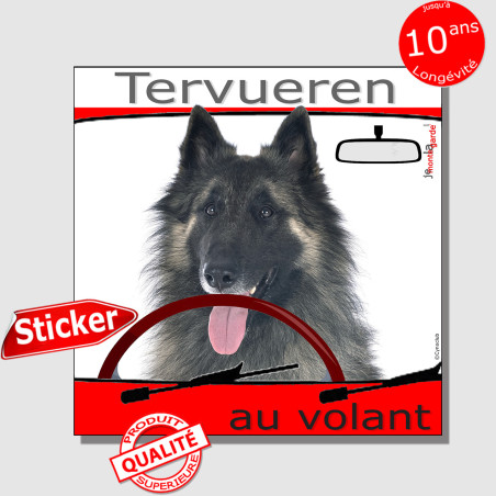 "Tervueren au volant" panneau autocollant humoristique voiture photo sticker drôle chien à bord Berger Belge Tervueren, résiste 