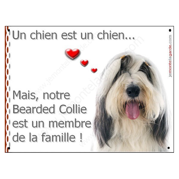 Bearded Collie Tête, Plaque Portail un chien est un chien, membre de la famille, pancarte, affiche panneau