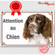 English Springer marron foie, plaque portail "Attention au Chien" pancarte panneau photo