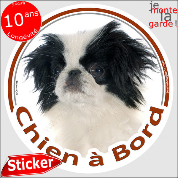 Epagneul Japonais Chin, sticker autocollant rond "Chien à Bord" adhésif vitre voiture photo disque