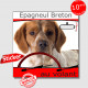 "Epagneul Breton blanc et orange au volant" panneau autocollant humoristique voiture photo sticker drôle chien à bord Espagnol