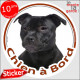 Staffie noir, sticker autocollant rond "Chien à Bord" Disque adhésif photo vitre voiture Staffy Staffordshire Bull Terrier
