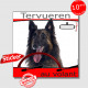 "Berger Belge Tervuren au volant" panneau autocollant humoristique voiture photo sticker drôle chien à bord