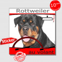 "Rottweiler au volant" autocollant voiture 15 cm