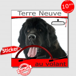 "Terre Neuve noir au volant" panneau autocollant humoristique voiture photo sticker drôle chien à bord