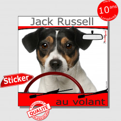 "Jack Russell Terrier tricolore au volant" panneau autocollant humoristique voiture photo sticker drôle chien à bord