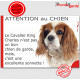 Plaque "Attention au Chien, le Cavalier King Charles blenheim est une excellente sonnette" pancarte photo panneau humour