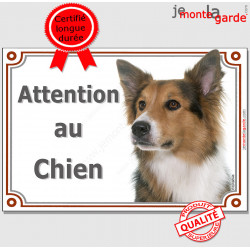Border Collie tricolore, plaque "Attention au Chien" pancarte photo race, panneau portail